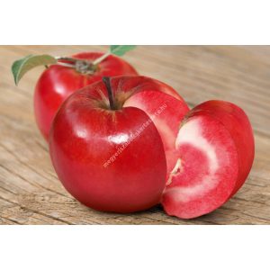 Vörösbelű alma - DrGangá Kvantum Natúr Kozemtikum